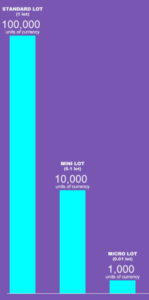 Micro Lot Mini Lot Comparison